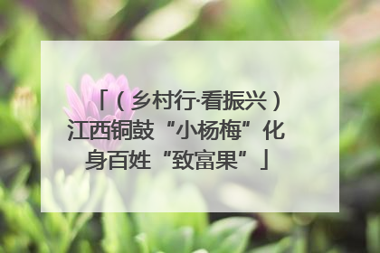 （乡村行·看振兴）江西铜鼓“小杨梅”化身百姓“致富果”