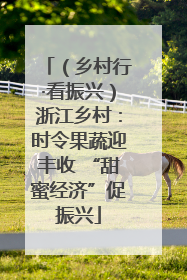 （乡村行·看振兴）浙江乡村：时令果蔬迎丰收 “甜蜜经济”促振兴