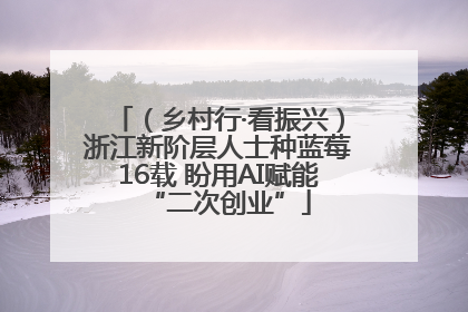 （乡村行·看振兴）浙江新阶层人士种蓝莓16载 盼用AI赋能“二次创业”