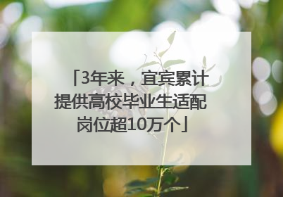 3年来，宜宾累计提供高校毕业生适配岗位超10万个