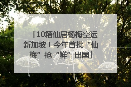 10箱仙居杨梅空运新加坡！今年首批“仙梅”抢“鲜”出国