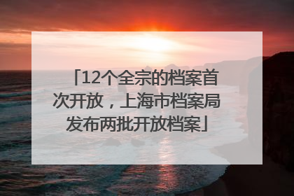 12个全宗的档案首次开放，上海市档案局发布两批开放档案