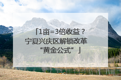 1亩=3倍收益？宁夏兴庆区解锁改革“黄金公式”