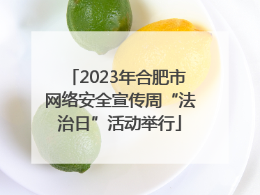 2023年合肥市网络安全宣传周“法治日”活动举行