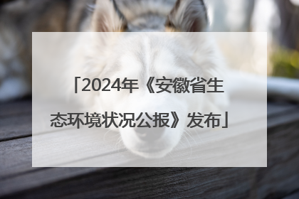 2024年《安徽省生态环境状况公报》发布