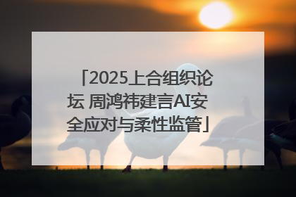 2025上合组织论坛 周鸿祎建言AI安全应对与柔性监管