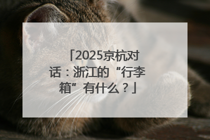 2025京杭对话：浙江的“行李箱”有什么？
