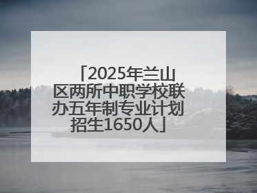 2025年兰山区两所中职学校联办五年制专业计划招生1650人