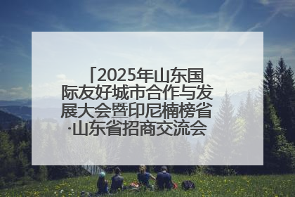 2025年山东国际友好城市合作与发展大会暨印尼楠榜省·山东省招商交流会在济南槐荫举行