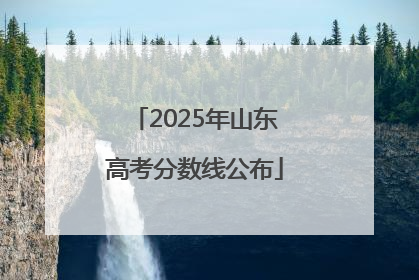 2025年山东高考分数线公布