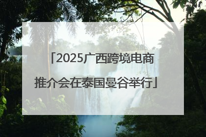 2025广西跨境电商推介会在泰国曼谷举行