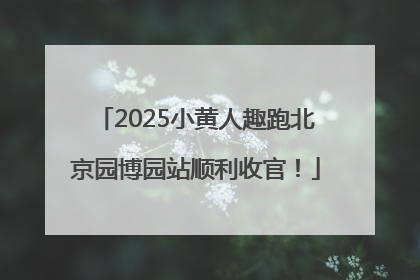 2025小黄人趣跑北京园博园站顺利收官！