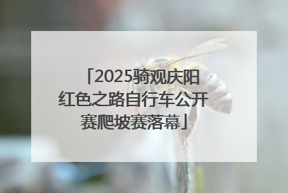 2025骑观庆阳红色之路自行车公开赛爬坡赛落幕