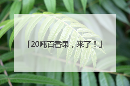 20吨百香果，来了！