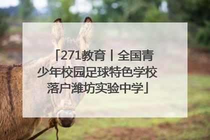 271教育丨全国青少年校园足球特色学校落户潍坊实验中学