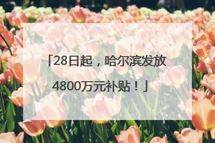 28日起，哈尔滨发放4800万元补贴！