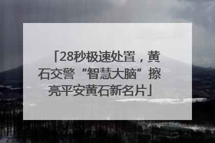 28秒极速处置，黄石交警“智慧大脑”擦亮平安黄石新名片