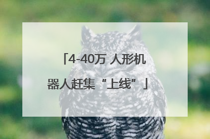4-40万 人形机器人赶集“上线”