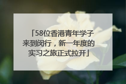 58位香港青年学子来到闵行，新一年度的实习之旅正式拉开