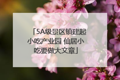 5A级景区镇建起小吃产业园 仙居小吃要做大文章