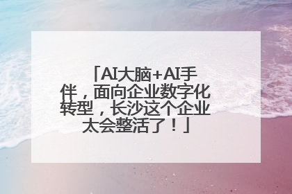 AI大脑+AI手伴，面向企业数字化转型，长沙这个企业太会整活了！