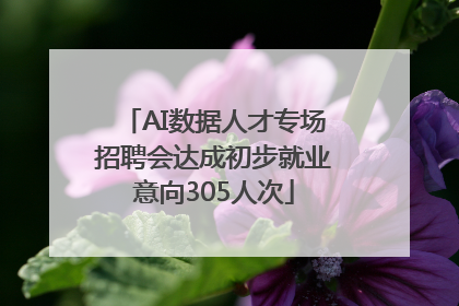 AI数据人才专场招聘会达成初步就业意向305人次