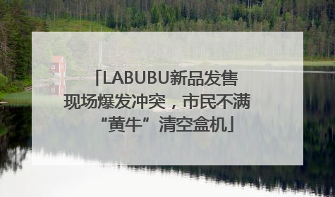 LABUBU新品发售现场爆发冲突，市民不满“黄牛”清空盒机